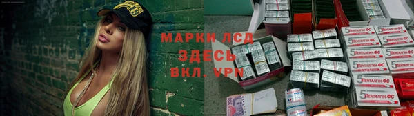 крисы Инта