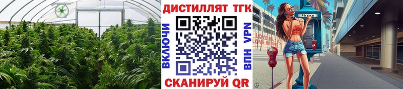 hydra ССЫЛКА  Удомля  Дистиллят ТГК гашишное масло  где купить наркоту 