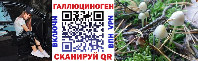 Псилоцибиновые грибы мицелий  Удомля 